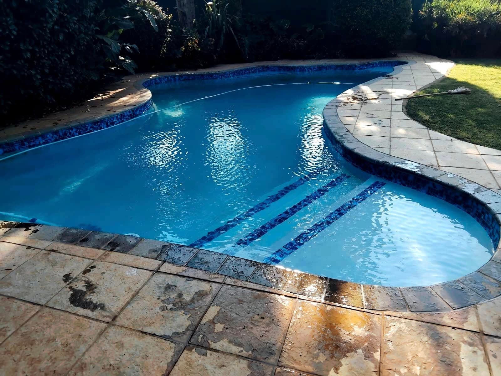Kidney-shaped pool with blue mosaic trim